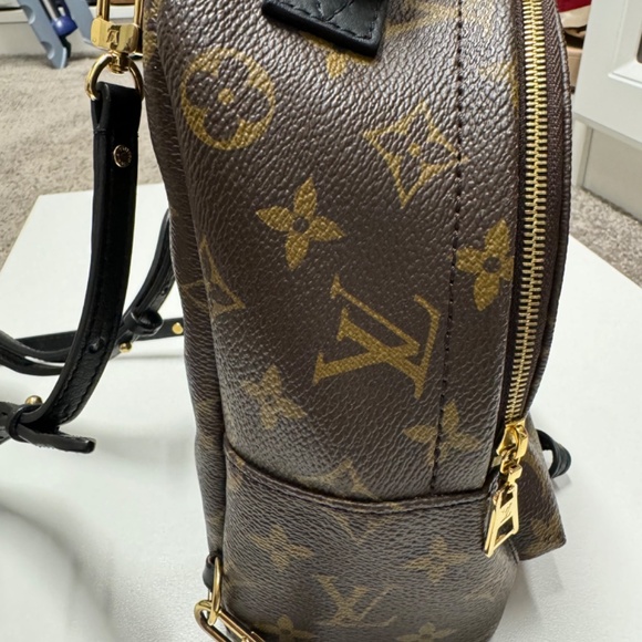 Louis Vuitton Palm Springs Backpack Mini